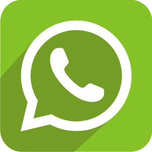 Condividi su WhatsApp